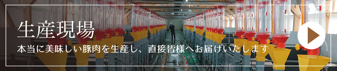 ひこま豚の生産現場