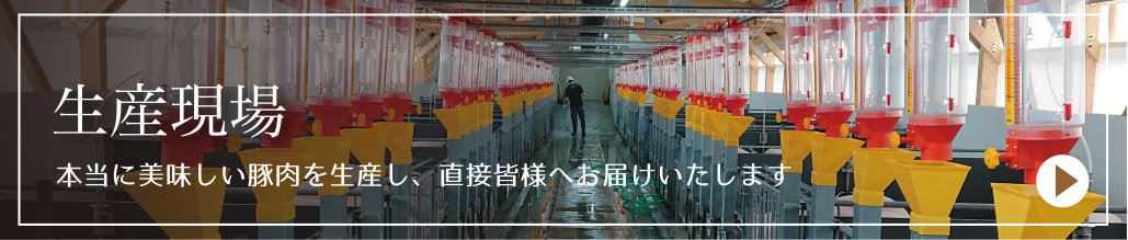 ひこま豚の生産現場